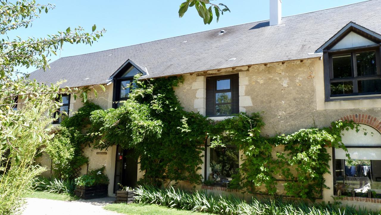 Bed and Breakfast La Ligne Angles-sur-lʼAnglin Zewnętrze zdjęcie
